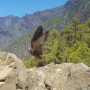Cumbrecita in der Caldera - der Schnappschuss des Urlaubs