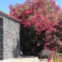 Unsere FeWo Casa Evelina - Blumen ...