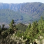 Blick am Refugio El Pilar zur Caldera